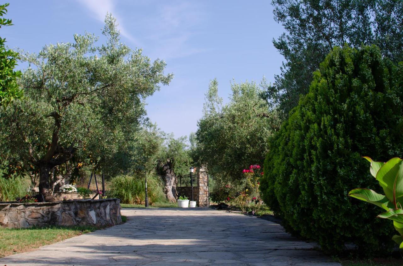 Отель Makis House Никити Экстерьер фото