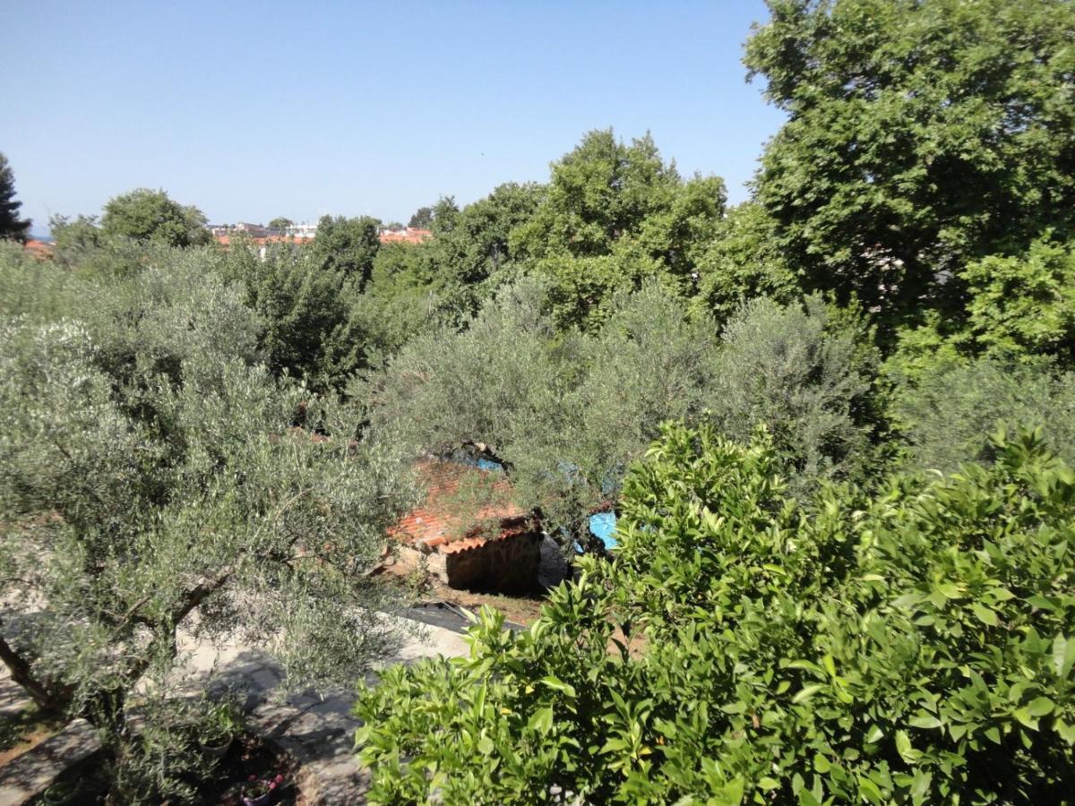 Отель Makis House Никити Экстерьер фото